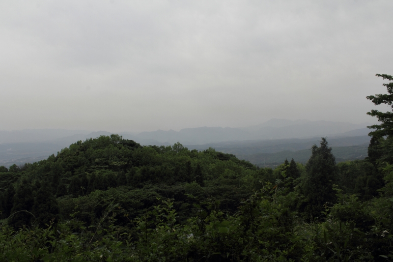 山と自然 大分市森林セラピー®｜H26. 5.18第1回高崎山セラピーロード山開き