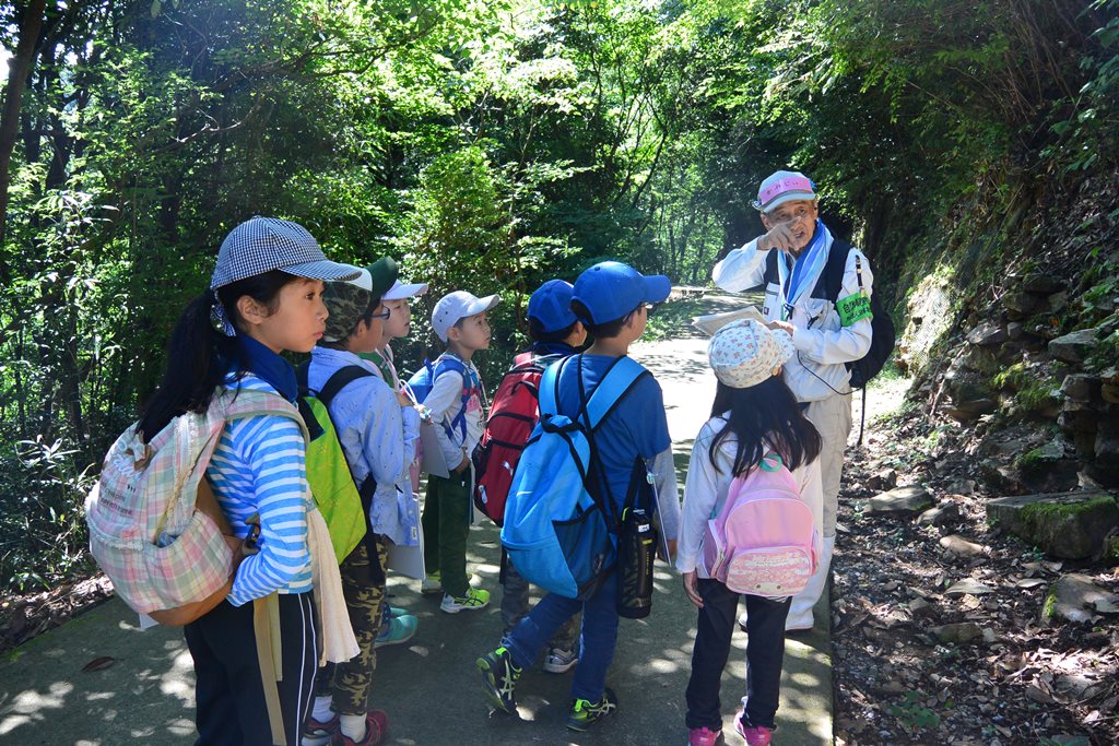 大分市森林セラピー®｜R1.8.4 「森林セラピーKIDS!夏の友」