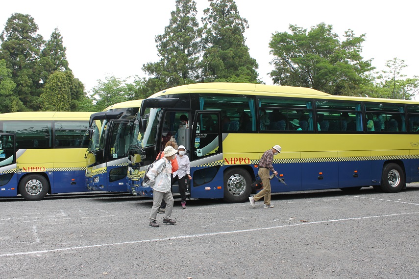 山 山 桜 adidas Originals ZX 8000 Sakura GV7493 | eBay