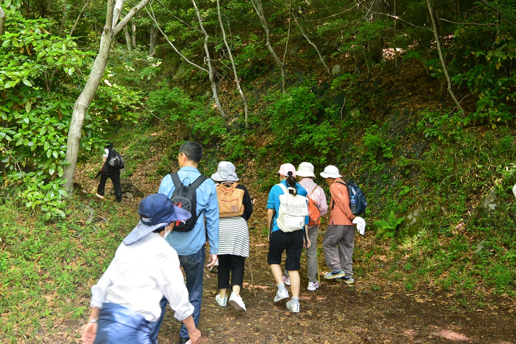 大分市森林セラピー®｜H29. 5.14 第4回高崎山セラピーロード山開き