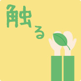 触る