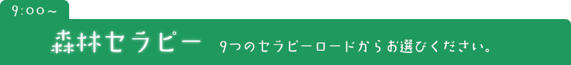 9時から森林セラピー（9つのセラピーロードからお選びください。）